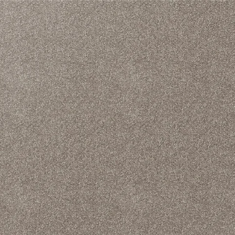 Dove carpet swatch
